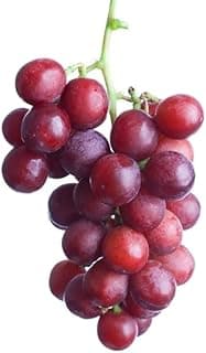 Fresh Red Globe Grapes Import 500g