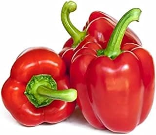Sharbatly Capsicum Red 500g