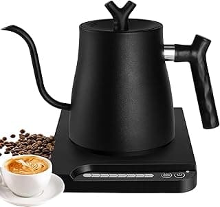 Mylindde Electric Kettle, Portable Small Mini Tea Coffee Kettle Water Boiler, 304 Stainless Steel with Auto Shut-Off & Boil Dry Protection (Black#1)