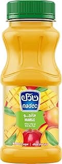 Nadec Mango with Fruit Mix Nectar Juice 180 ml