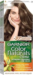 Garnier Color Natcherls Hair Dye No. 6.1 Blonde Dark Gray